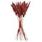 Dried Plant Bamboo Natural Foliage with Long Stems